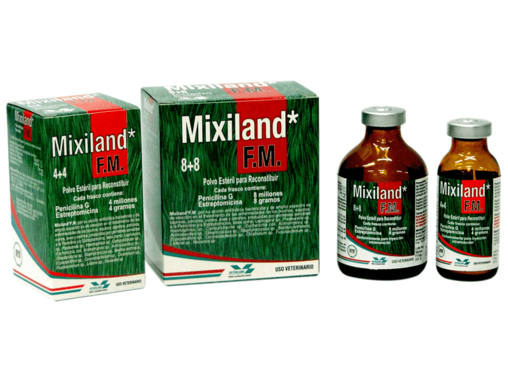 Mixiland ® F.M.