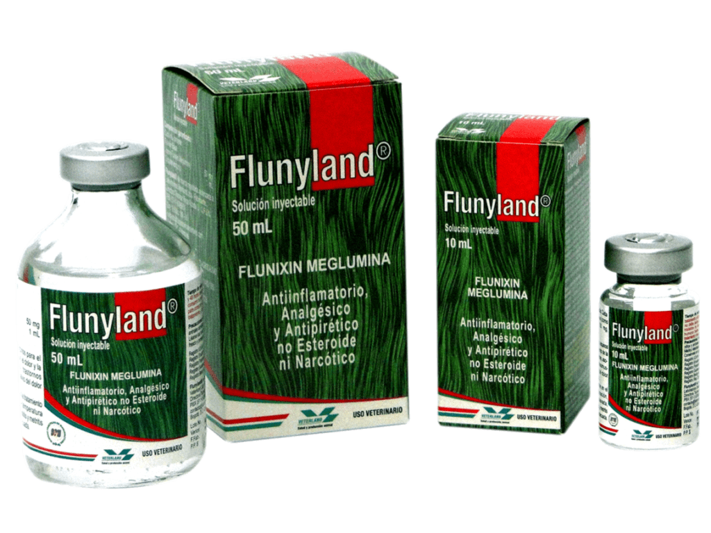 Flunyland®